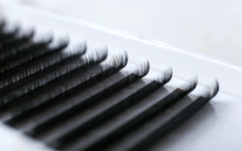 Load image into Gallery viewer, MG Beauty Easy Fans Eyelash Extensions (12rows) 0.03mm MGBEAUTYLASH
